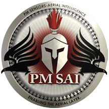 PM SAI